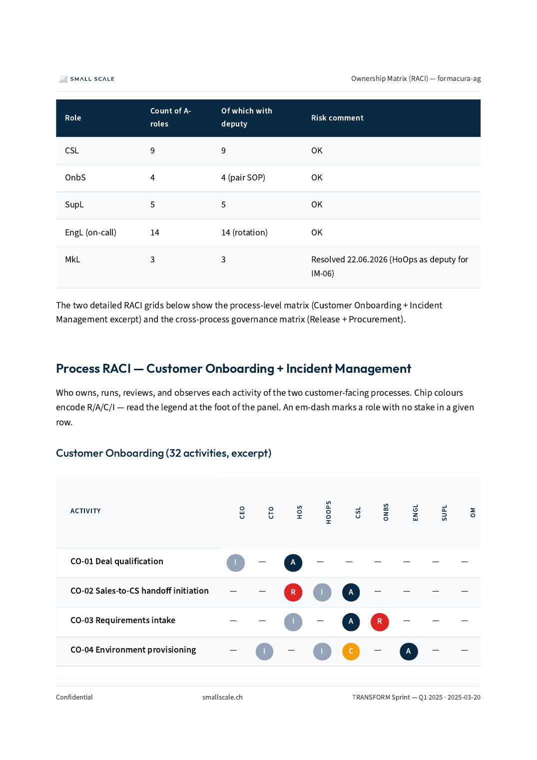 TRANSFORM — RACI matrix · sample